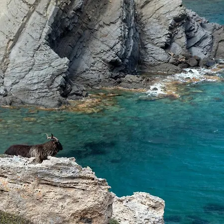 بيت للعطل Villa Mirador Con Vistas Al Mar كالا غلدانا